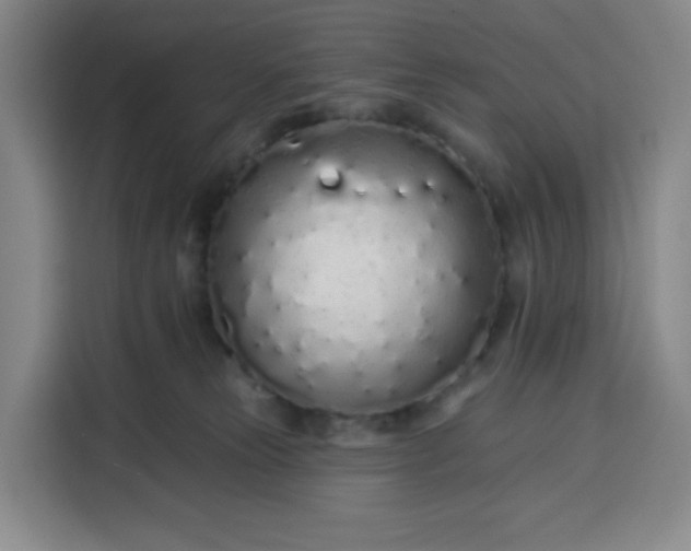 X0000113530181200910021337