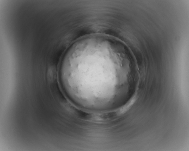 X0000113530182200910021337