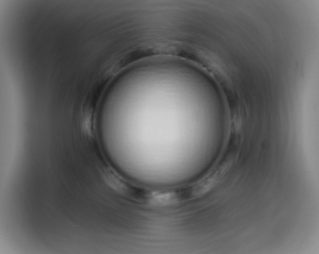 X0000113530185200910021337