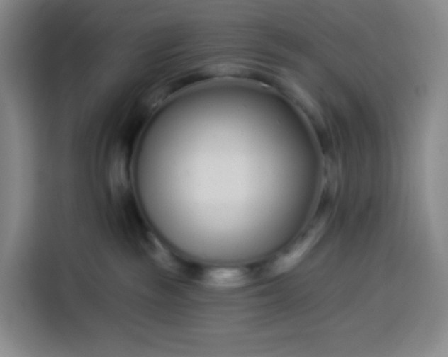 X0000113530189200910021337