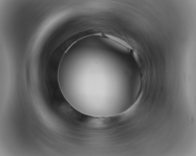 X0000113530190200910021337