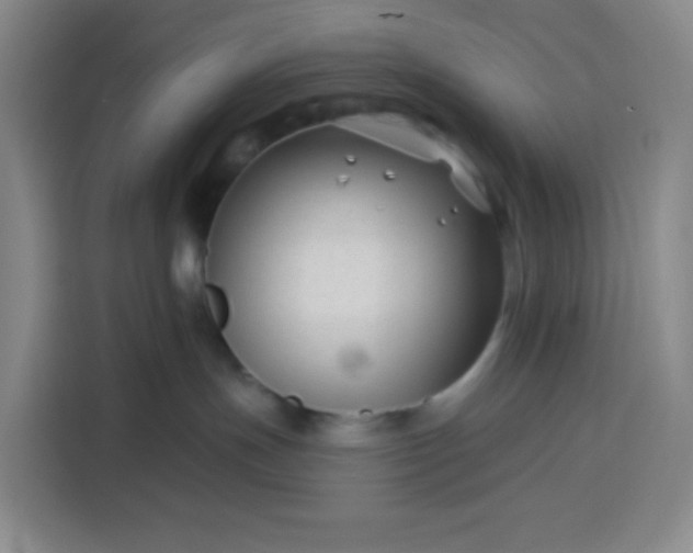 X0000113530191200910021337