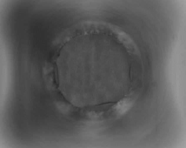 X0000113530192200910021337