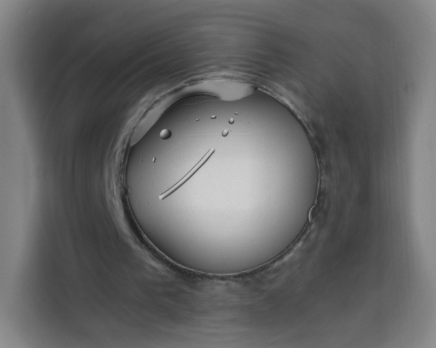 X0000113530193200910021336