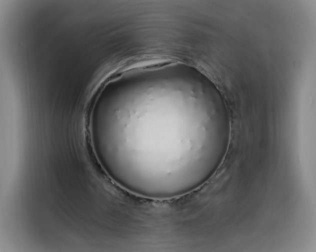 X0000113530194200910021336