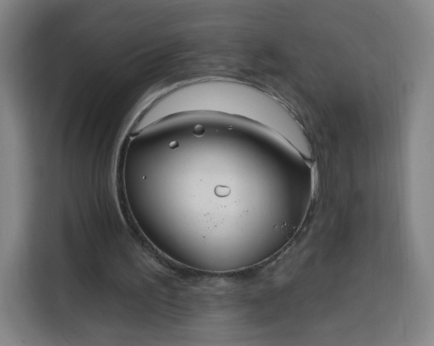 X0000113530195200910021336