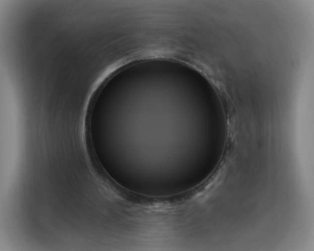 X0000113530196200910021336