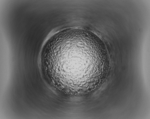 X0000113530198200910021336