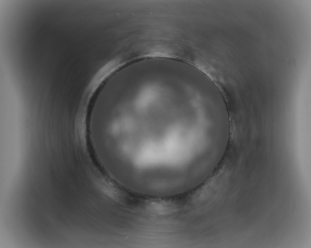 X0000113530199200910021336