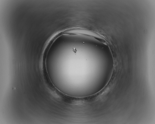 X0000113530200200910021336