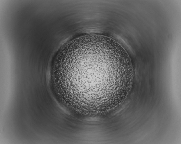 X0000113530202200910021336