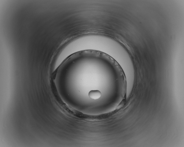 X0000113530203200910021336