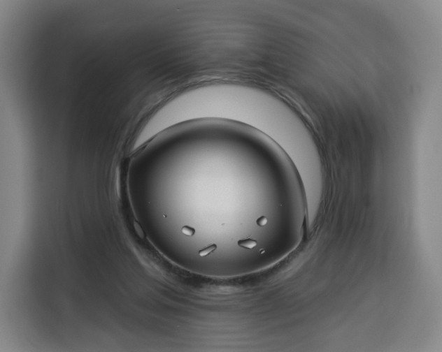 X0000113530205200910021336