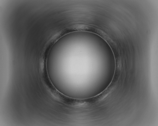 X0000113530206200910021336