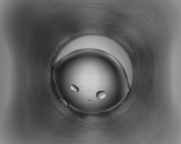 X0000113530207200910021336