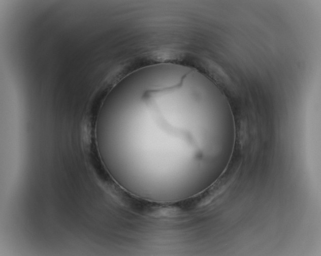 X0000113530210200910021336