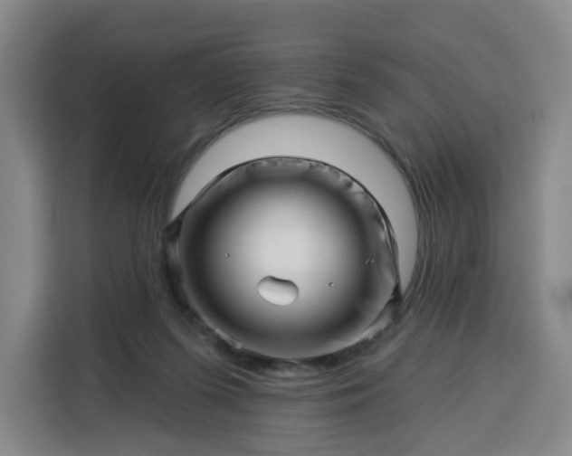 X0000113530215200910021336