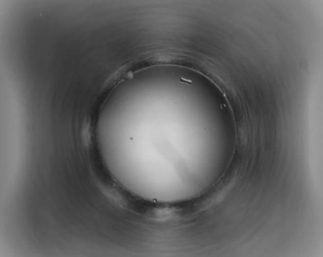 X0000113530216200910021336