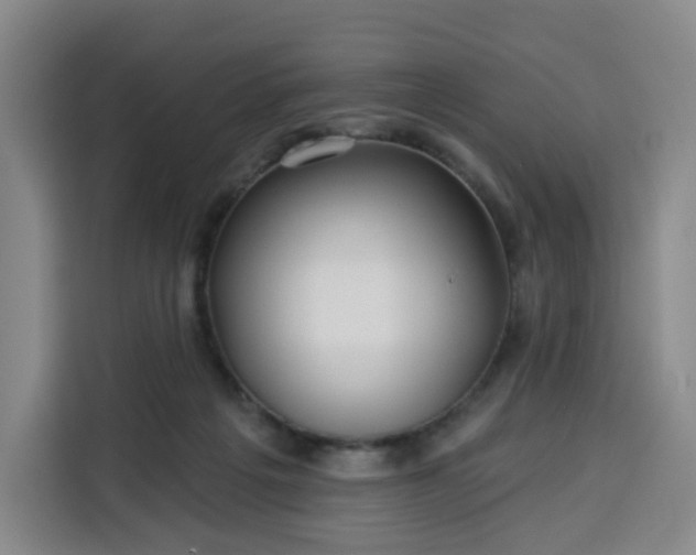 X0000113530217200910021336