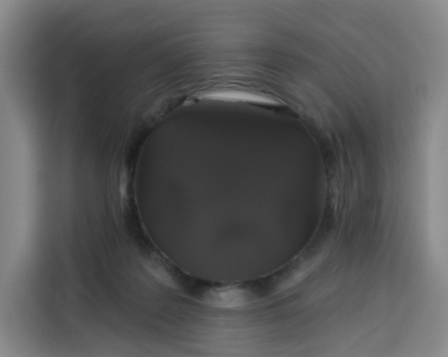 X0000113530219200910021336