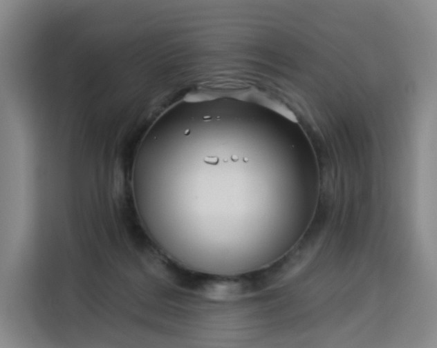 X0000113530220200910021336