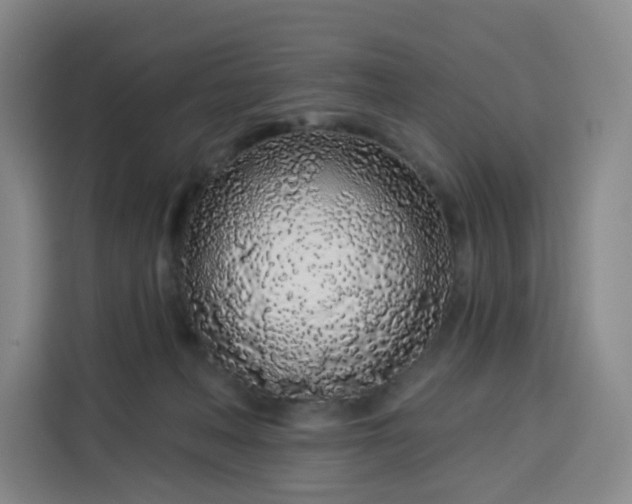 X0000113530222200910021336