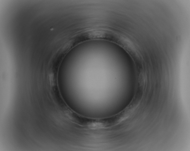 X0000113530224200910021336