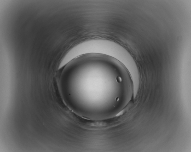 X0000113530225200910021336