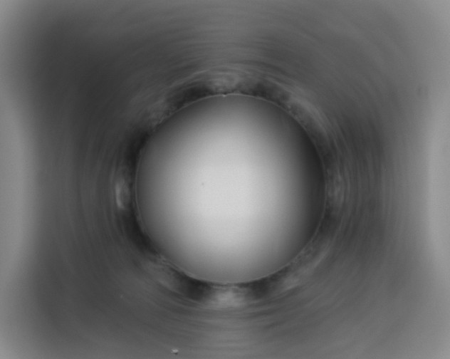 X0000113530226200910021336