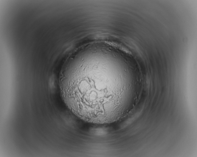 X0000113530228200910021336