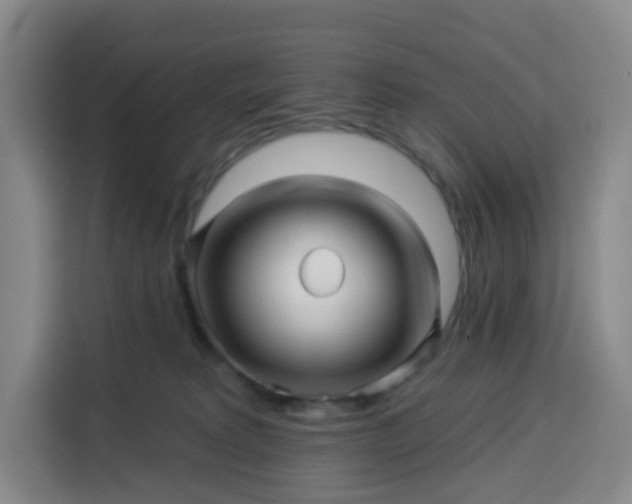 X0000113530229200910021336