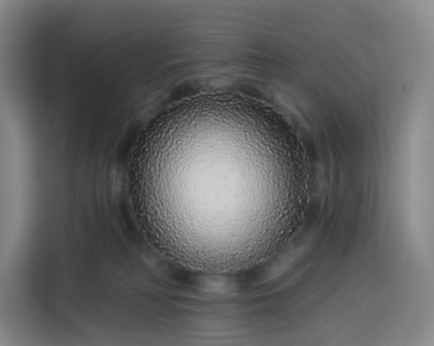 X0000113530230200910021336