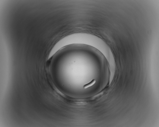 X0000113530233200910021336