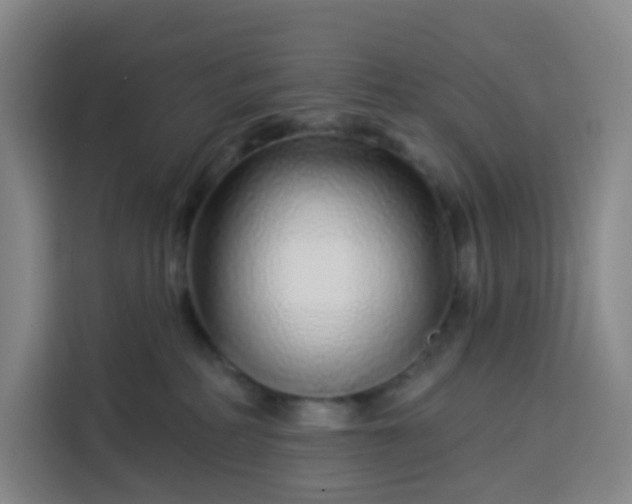 X0000113530234200910021336