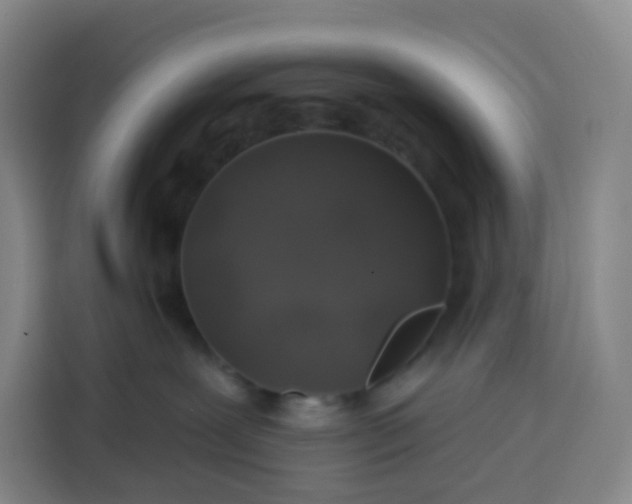 X0000113530239200910021336