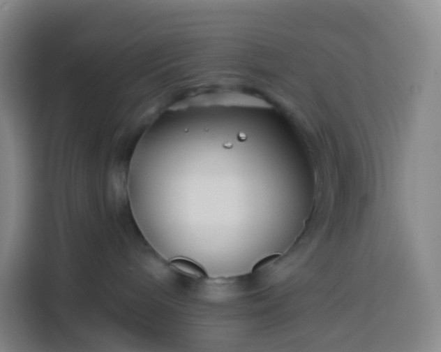 X0000113530240200910021336