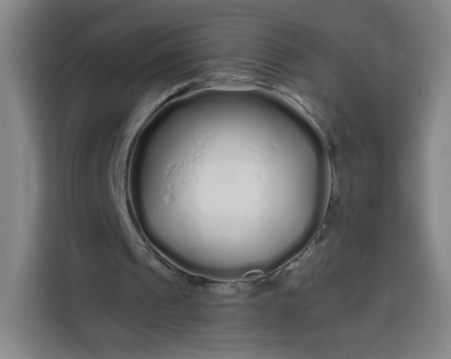 X0000113530241200910021335