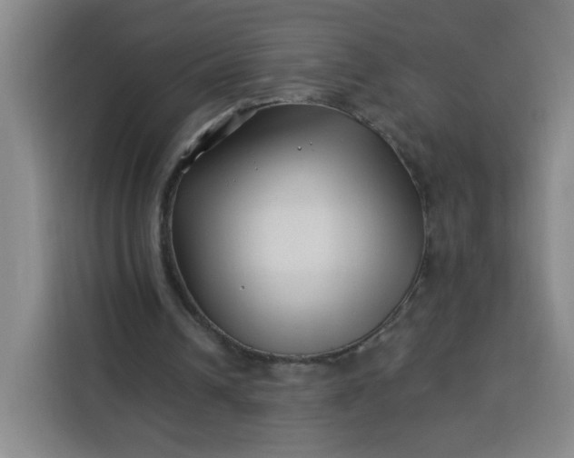 X0000113530242200910021335