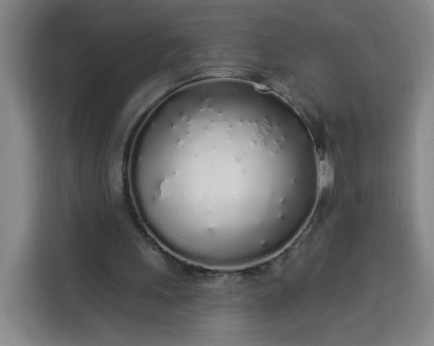 X0000113530243200910021335