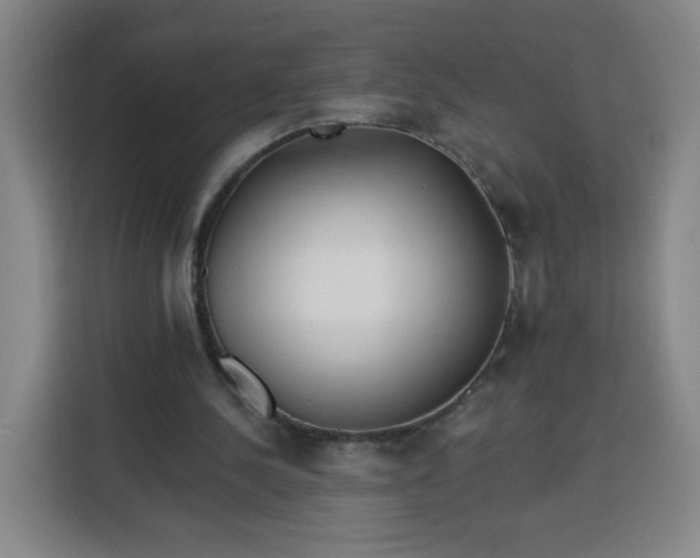 X0000113530244200910021335