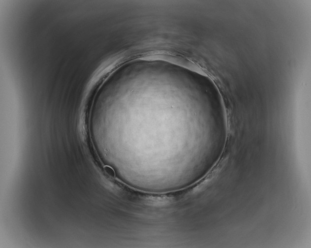 X0000113530245200910021335