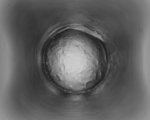 X0000113530247200910021335