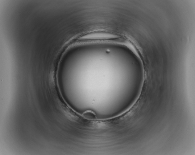 X0000113530249200910021335