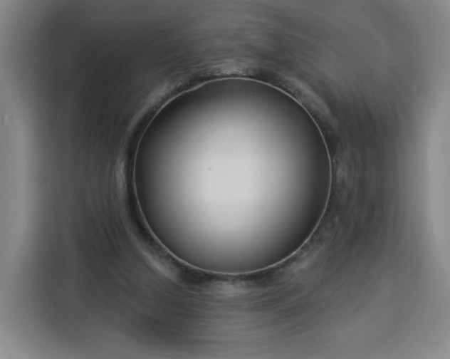 X0000113530250200910021335