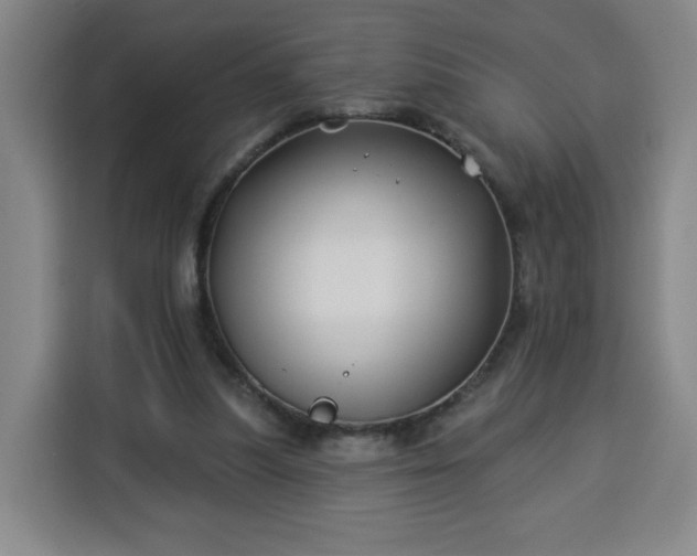 X0000113530251200910021335