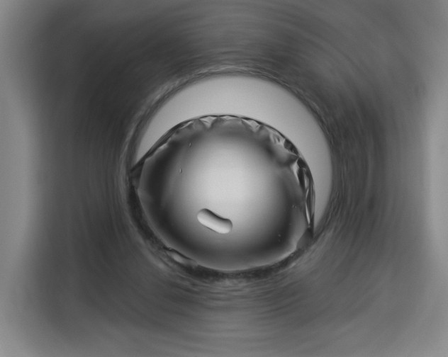 X0000113530252200910021335