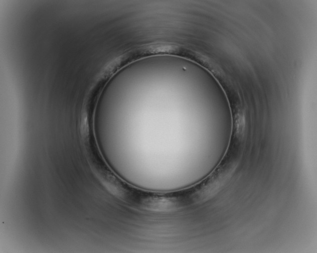 X0000113530254200910021335