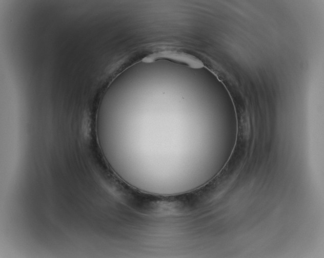 X0000113530255200910021335