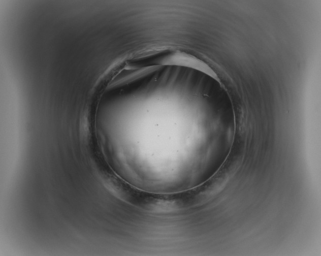 X0000113530256200910021335