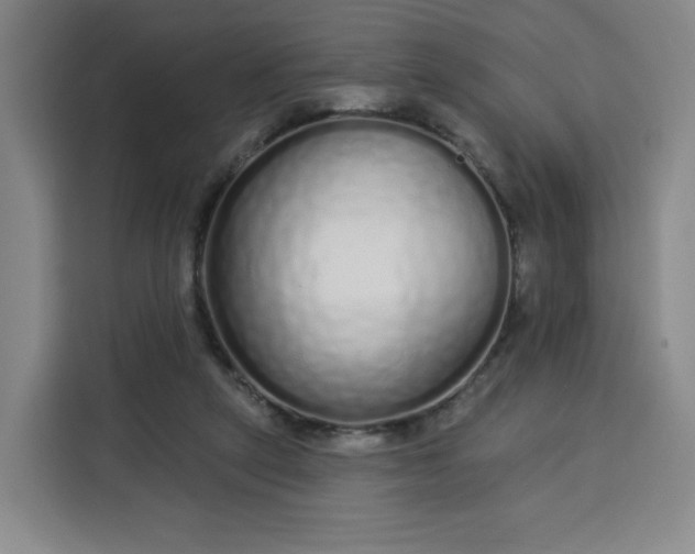 X0000113530257200910021335